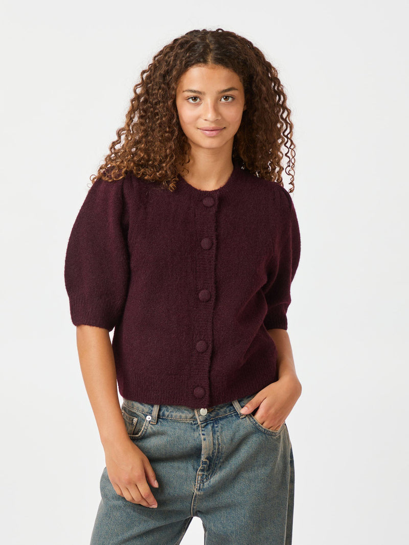 Neo Noir Trudy Knit Cardigan (burgundy)