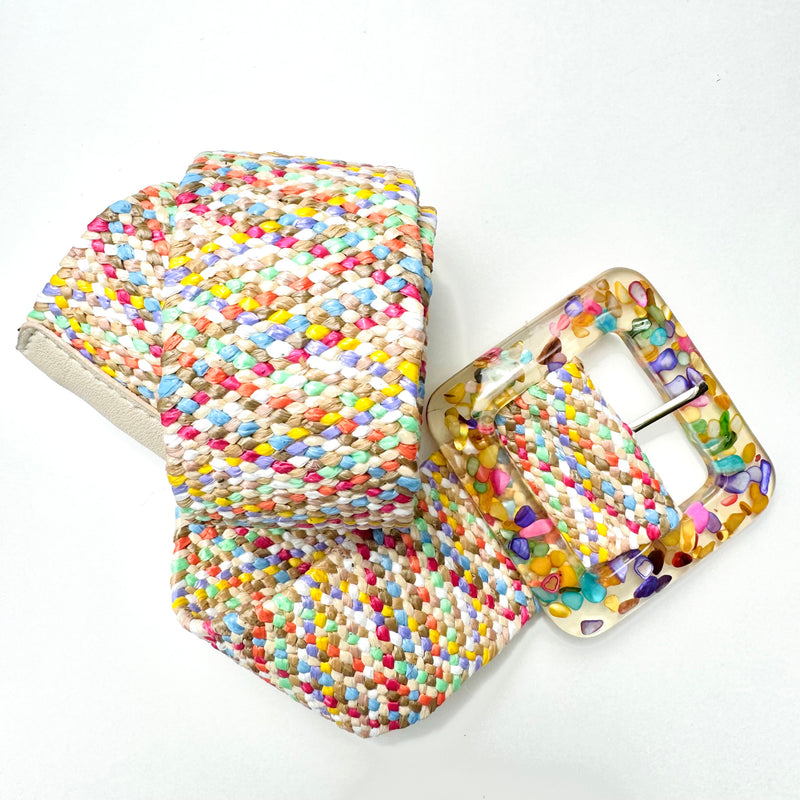 Sansom Selections: Multi Colours with Statement Buckle Stretchy Belt